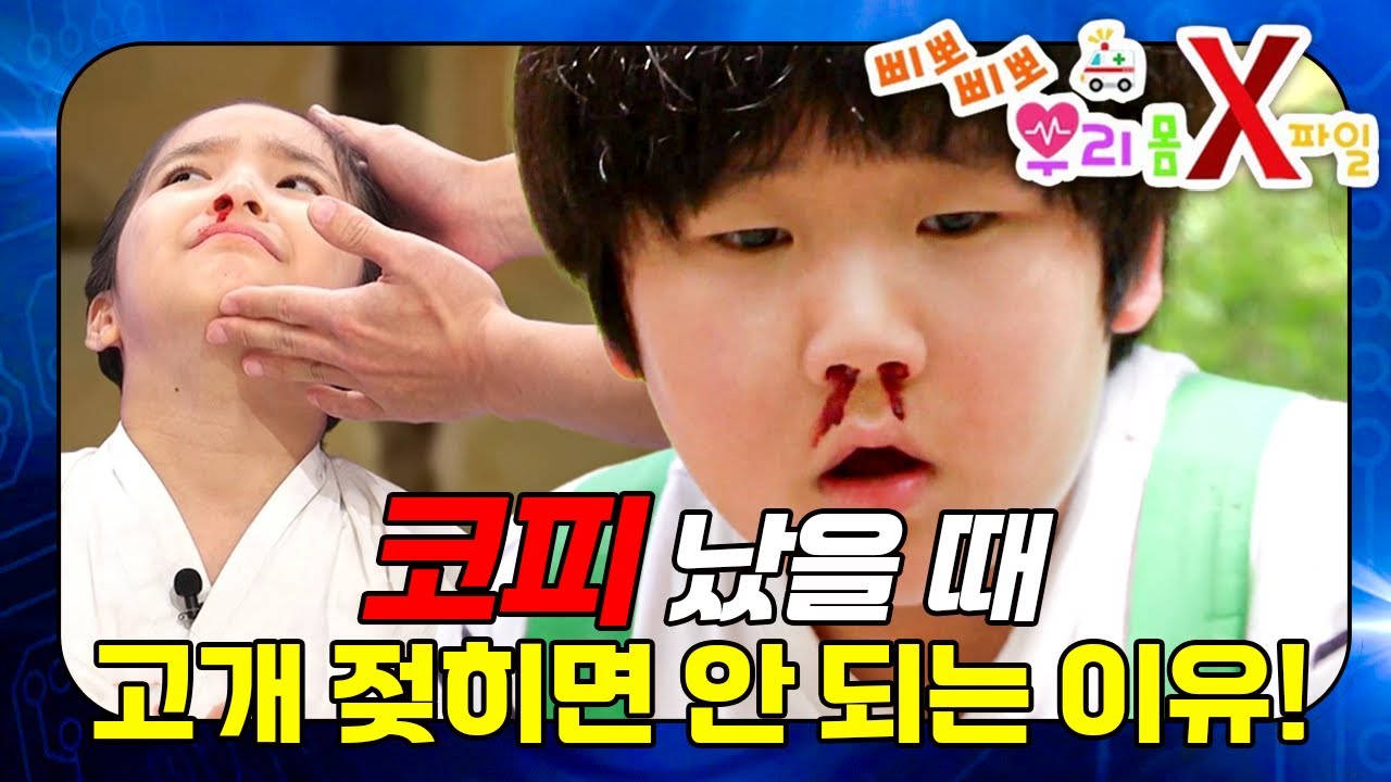 코피 멈추는 법, 아직도 머리를 뒤로 넘기시나요?🚫｜우리 몸 X파일｜[EBS놀이터]
