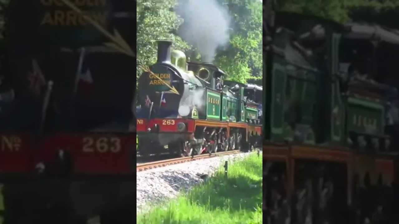 SE&CR double header #train #railway #steamengine #steamlocomotive #bluebellrailway #goldenarrow