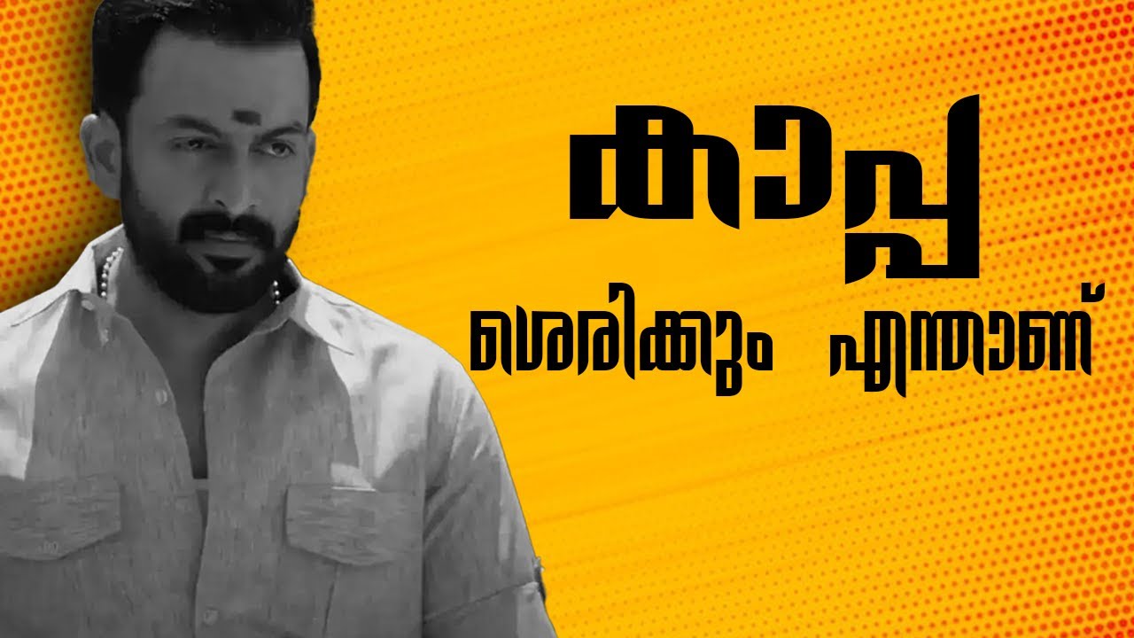 KAAPA ACT AND DETAILED EXPLAINED IN MALAYALAM/ MALAYALAM EXPLANATION FOR KAAPA ACT