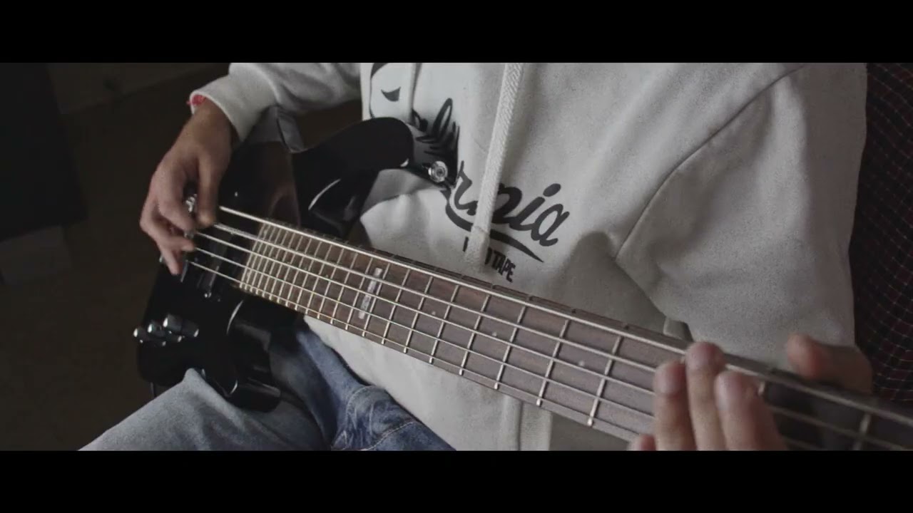 Would - Alice in Chains ( bass cover )