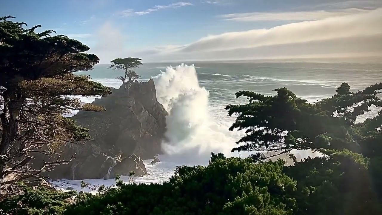 Lone Cypress, Pebble Beach, California