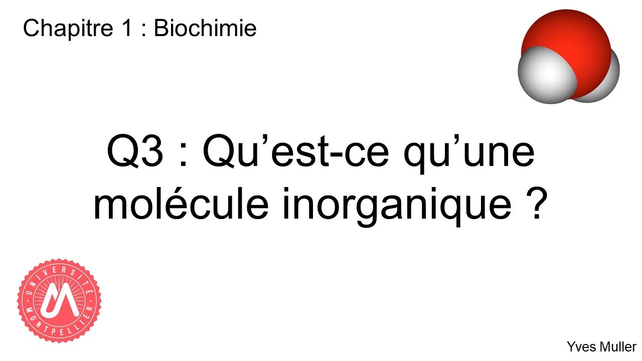 Chapitre 1 : Biochimie - Q3 : Qu'est-ce qu'une molécule inorganique ?