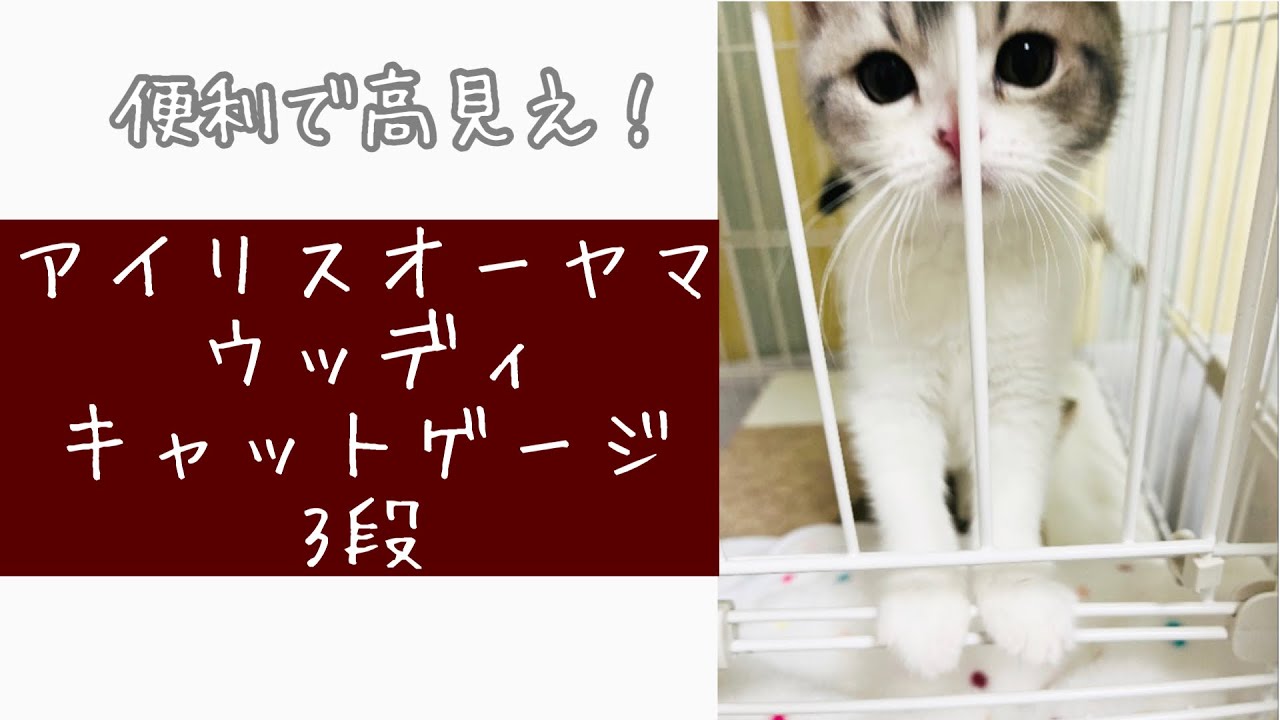 【便利な猫ゲージ！】アイリスオーヤマウッディキャットゲージ3段使用レビュー