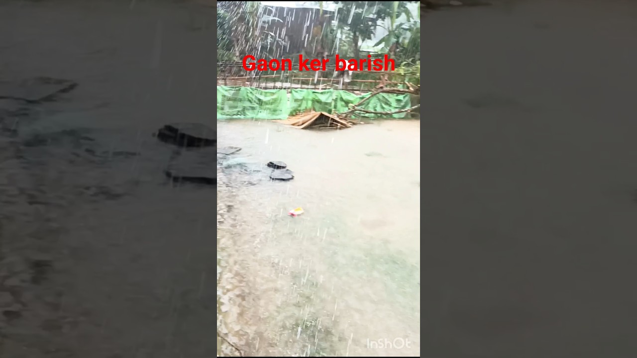 bunda pani #assamrain #assamese #tinsukiamakum #ytshorts #trending