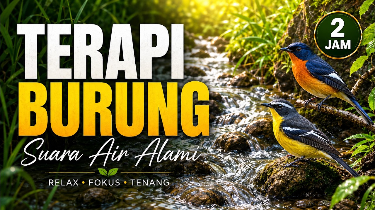 Relaxing River Flow – Stress Relief in Nature