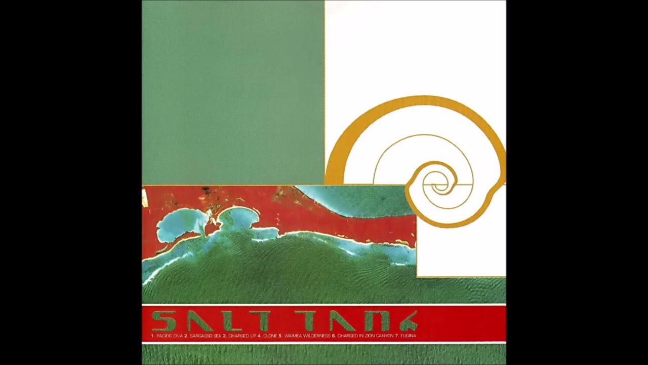 Salt Tank &ndash; ST3