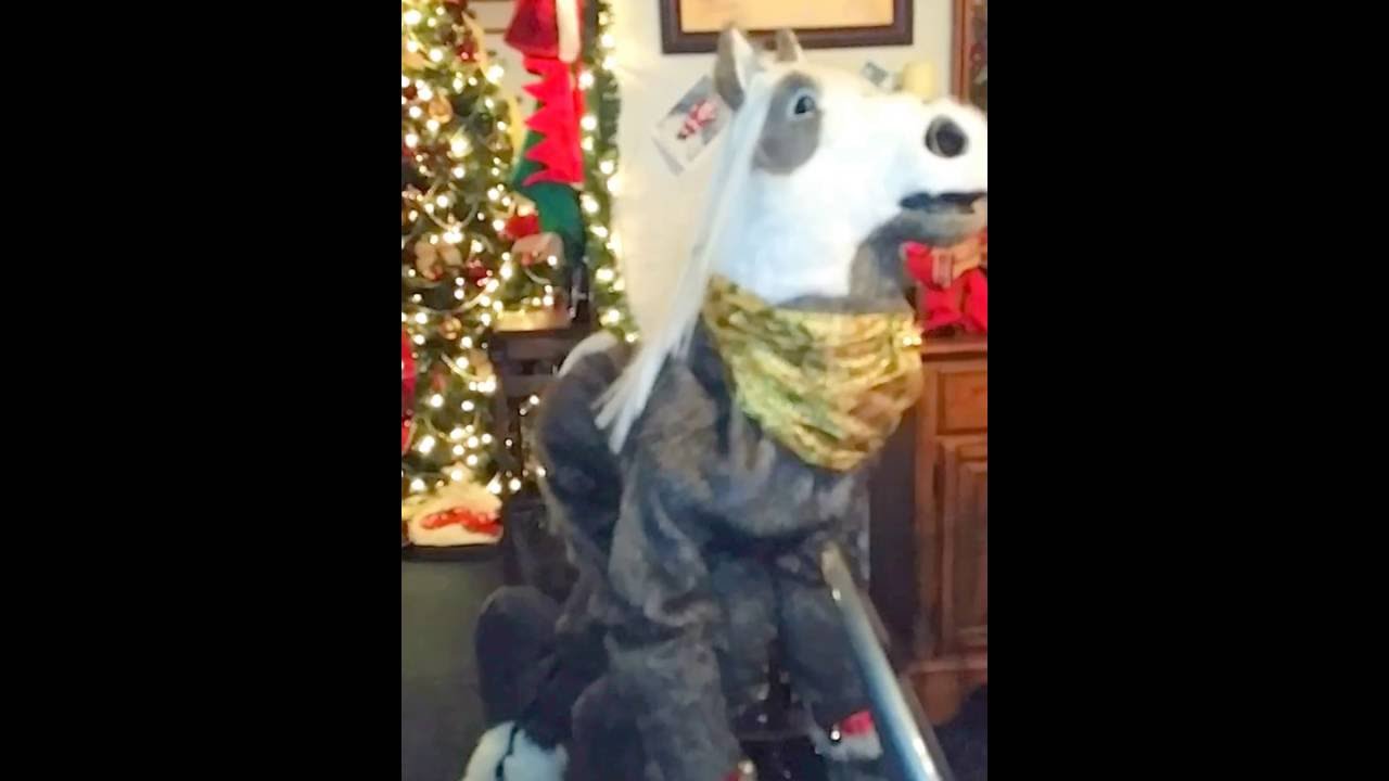#14 My Horse Quad Suit!