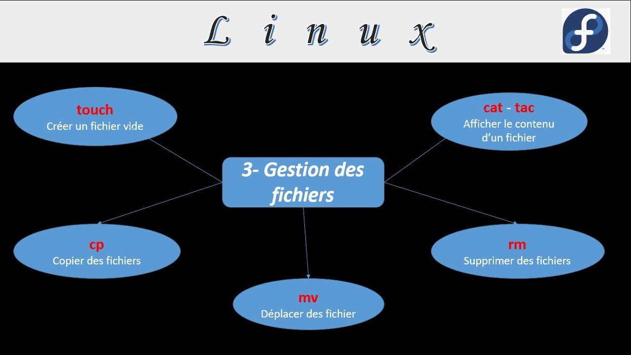 Linux - cours3 : Gestion des fichiers par les commandes 