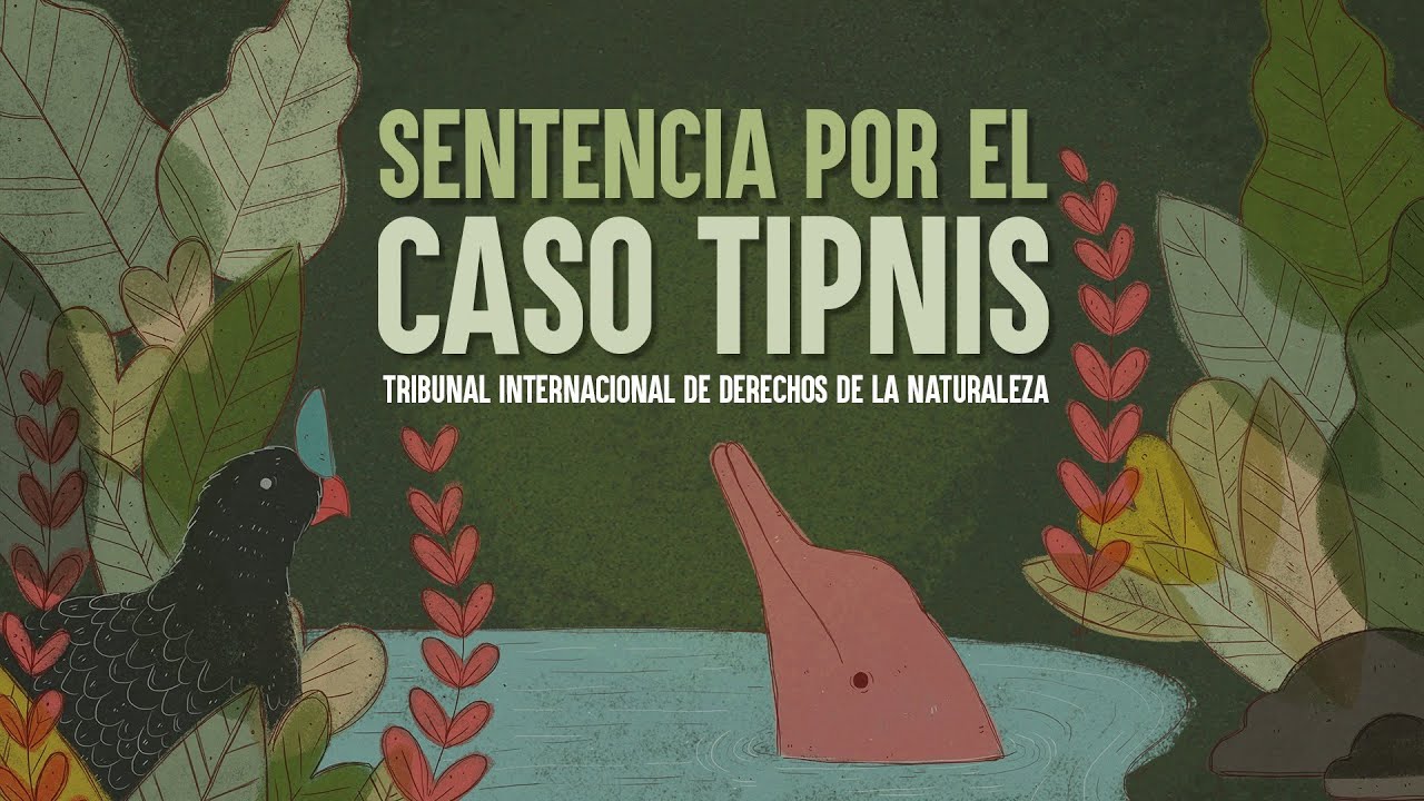 ¿Qué dice la sentencia sobre el TIPNIS?