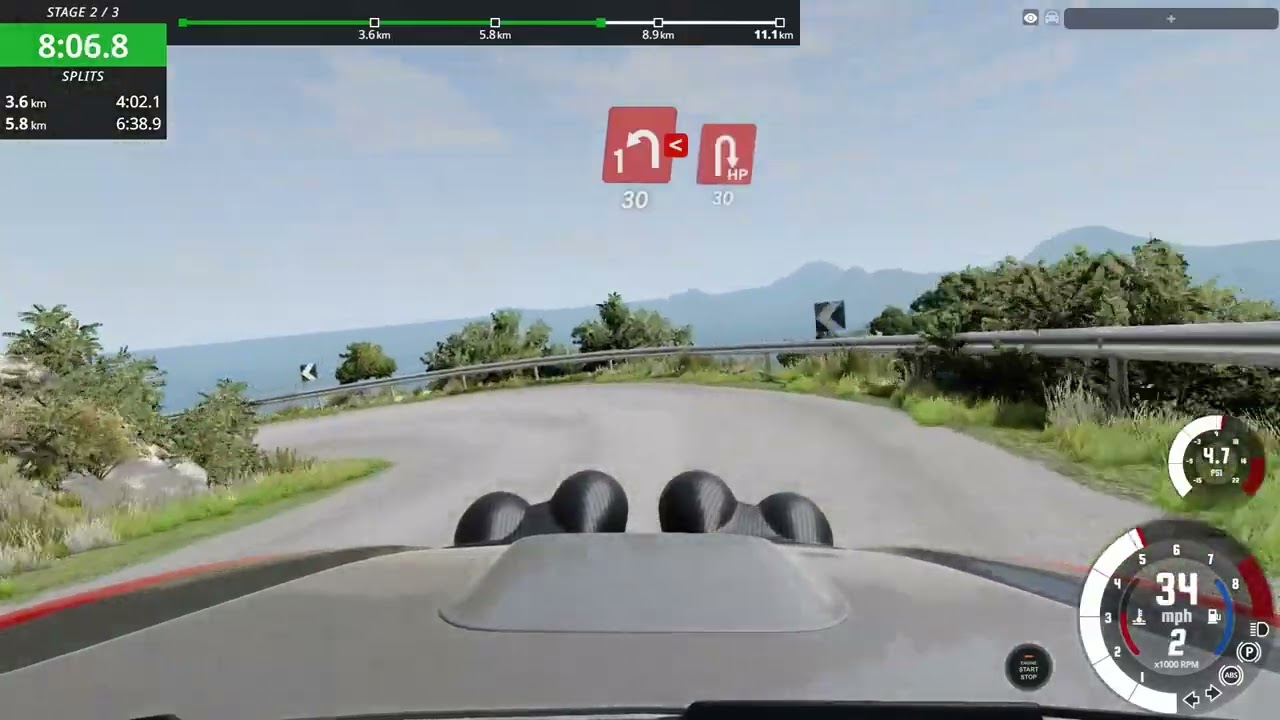 BeamNG | Rally Loop (PT 2/3)