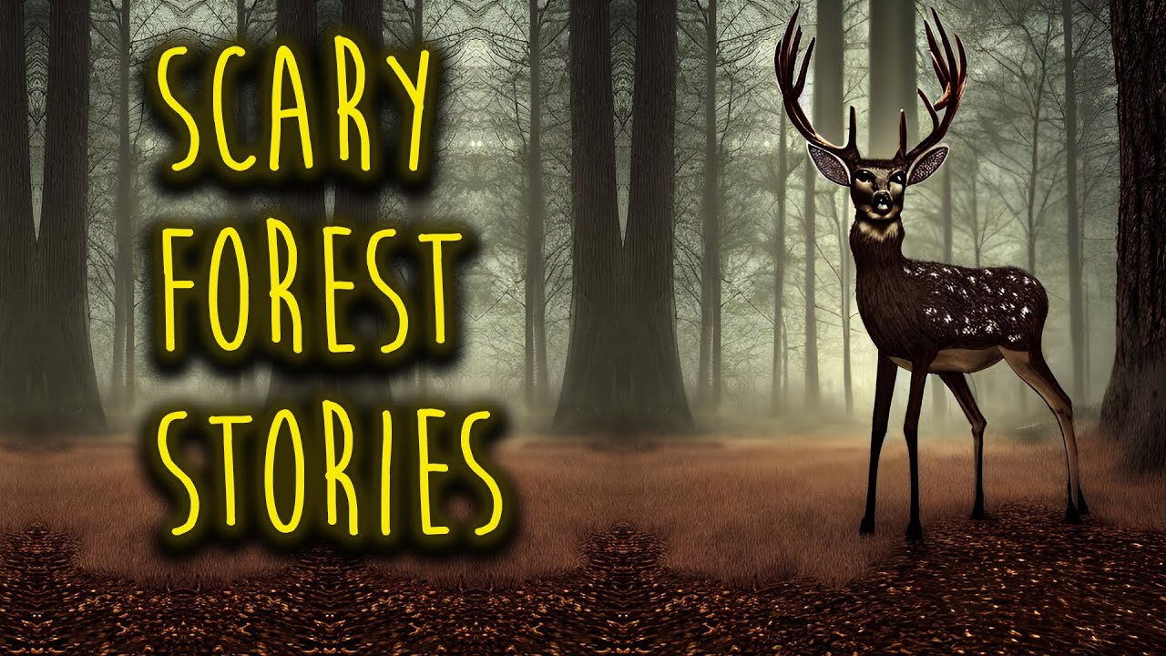 Scary Forest Stories | National Forest, Skinwalker, Deep Woods, Cryptid Encounters