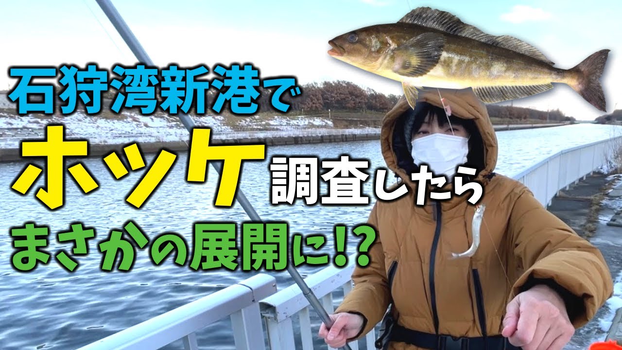 石狩湾新港ホッケ調査したら、まさかの展開に！？