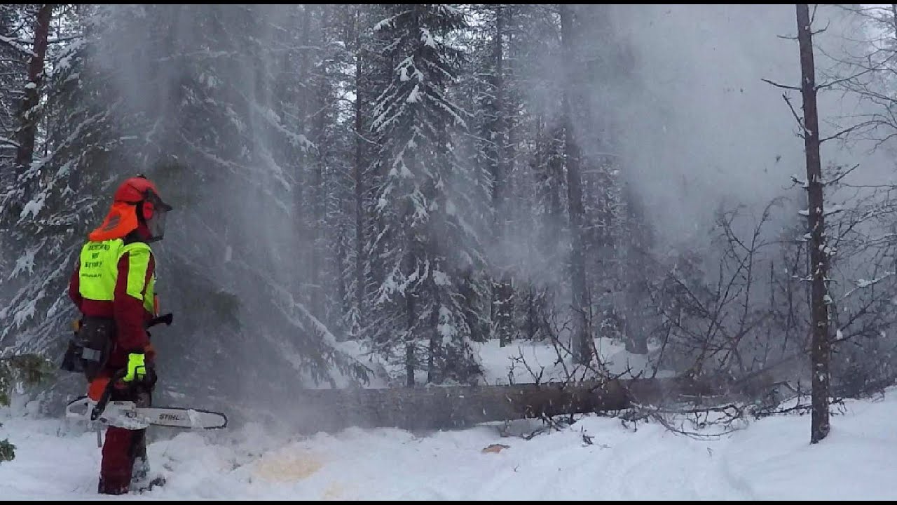 Hankintahakkuu 20-21