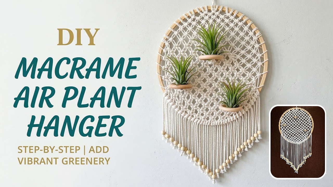 DIY Macrame Air Plant Hanger | Easy Beginner Tutorial