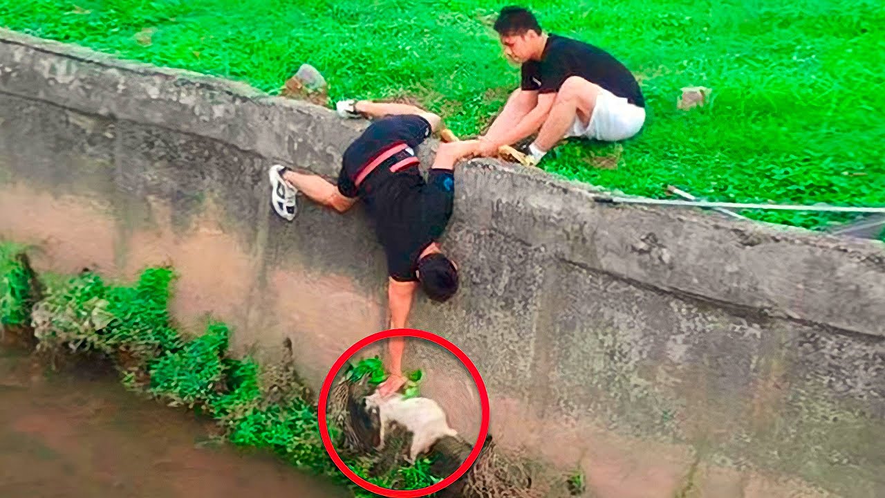 Heart Warming Videos That Will Melt Your Heart