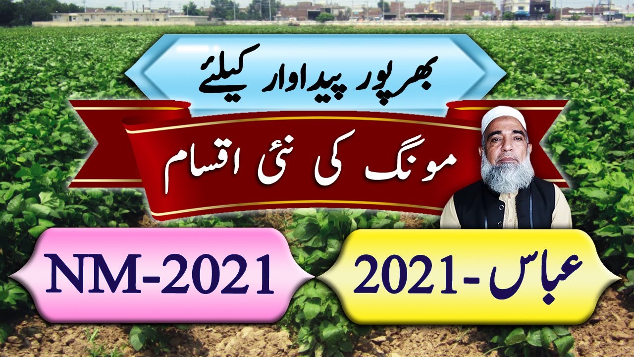 New Varieties of Mung bean / Green gram || Crop Reformer