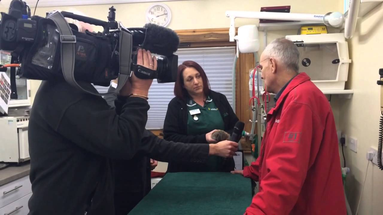 Behind The Scenes Filming For BBC News.