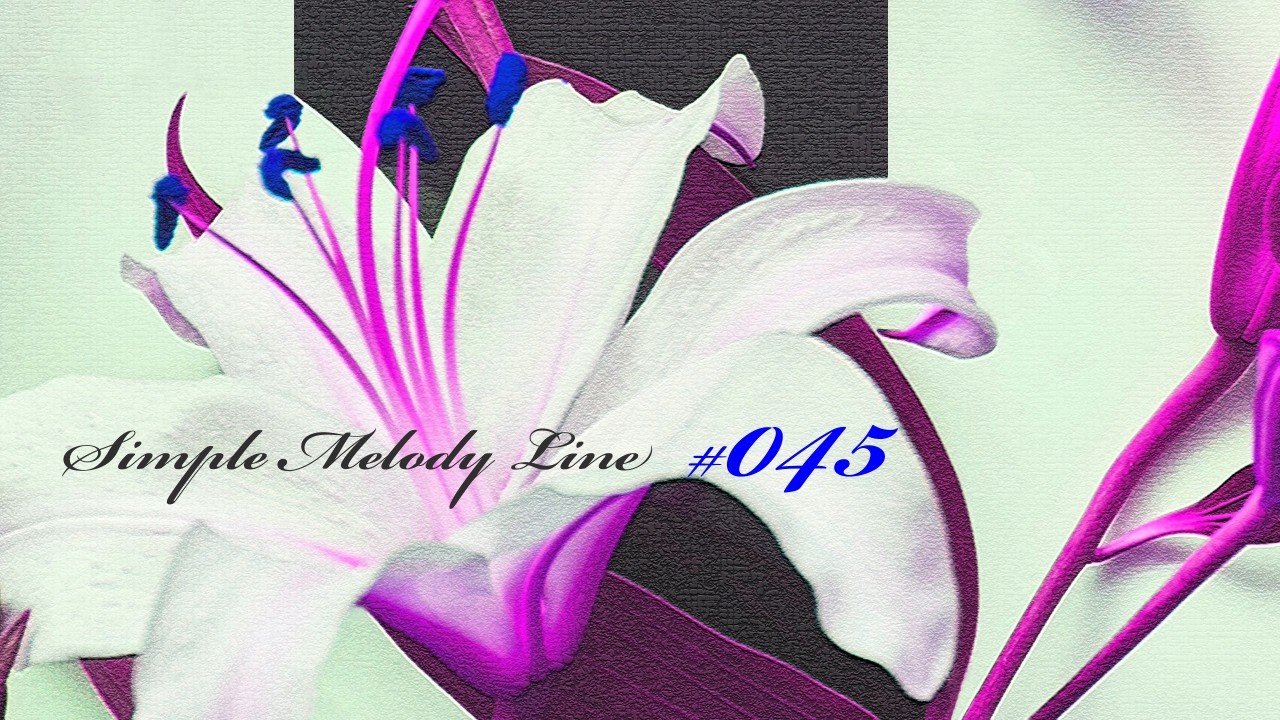 ＳＭＬ＃０４５