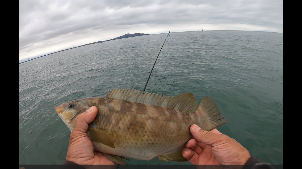 Small boat fishing Holyhead Bay Anglesey - End of the summer holidays
