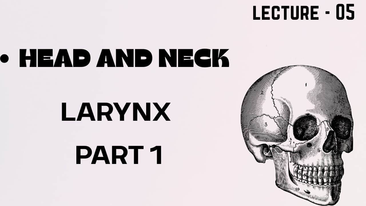 Larynx Part 1  l Head And Neck l Anatomy l MBBS First Year