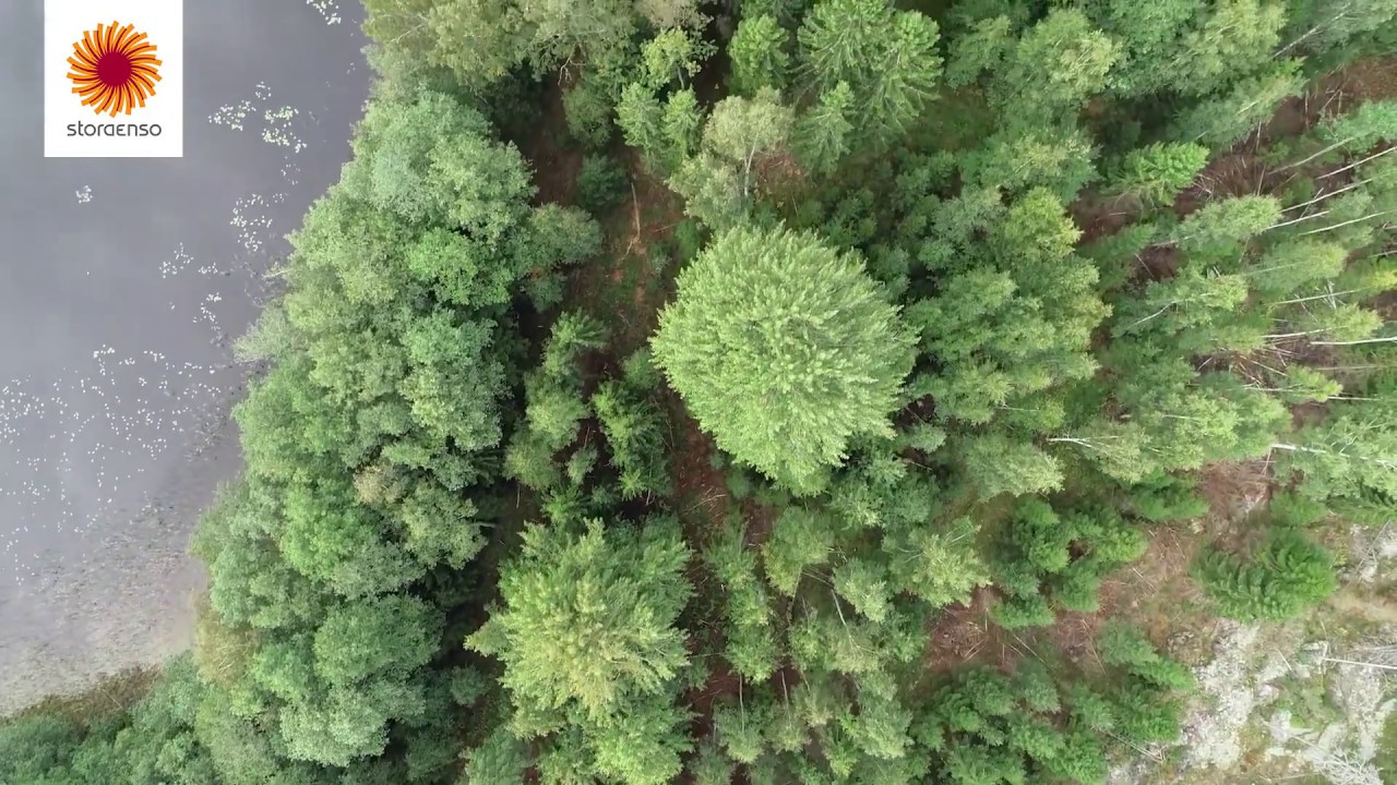 FSC-mets&auml;sertifiointi - vesist&ouml;t