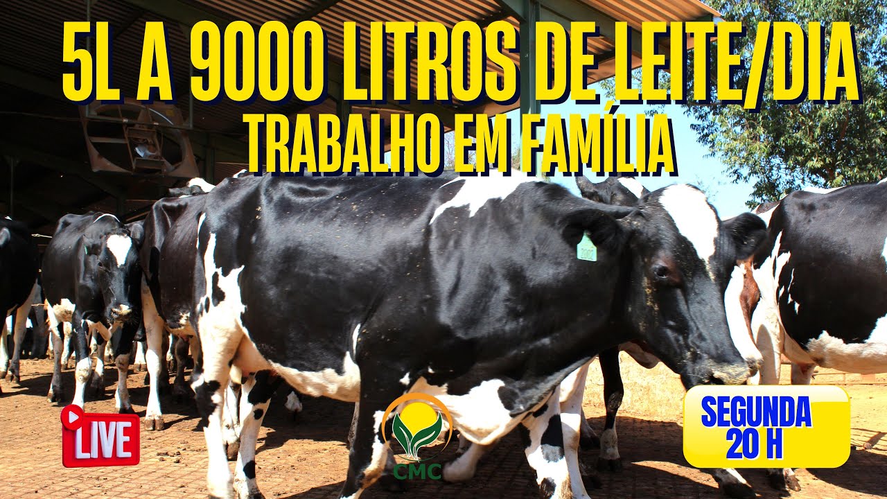 Dos 5 aos 9000 litros de leite/dia. Trabalho em família.