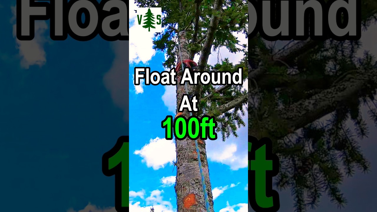 Floating Around At 100ft! #arborist #climbing