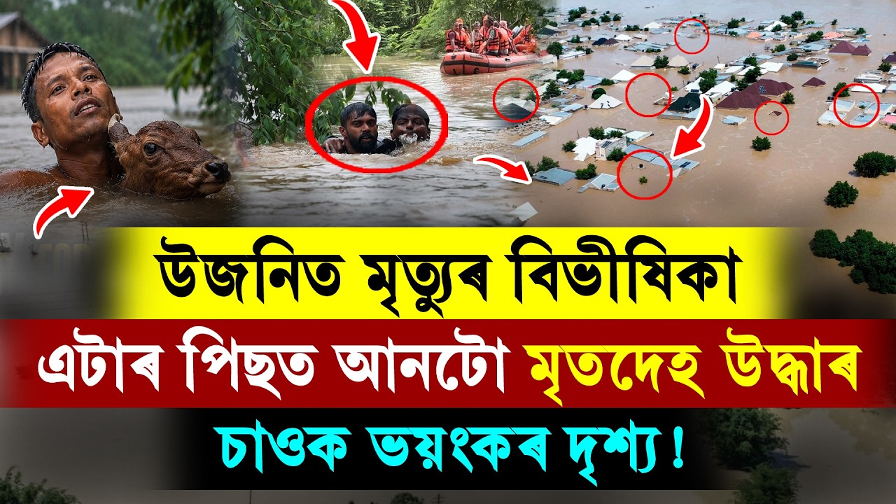 #LIVE | Assam Floods: উজনিত মৃত্যুৰ বিভীষিকা! উদ্ধাৰ এটাৰ পিছত আনটো মৃতদেহ। চাওক হাহাকাৰ অৱস্থা।