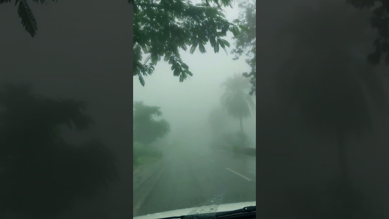 Mount Abu Hill Station Car Run View #abu #mount #monsoon#hillstation #trending #travel #beer