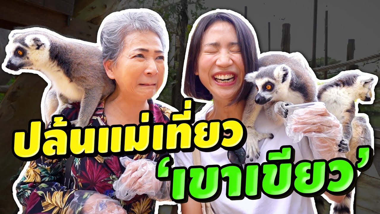 ปล้นแม่เที่ยว - เขาเขียวเสียวมาก! เพนกวิ้นจิก ลีเมอร์ไต่หัว I Open Zoo Near Bagnkok