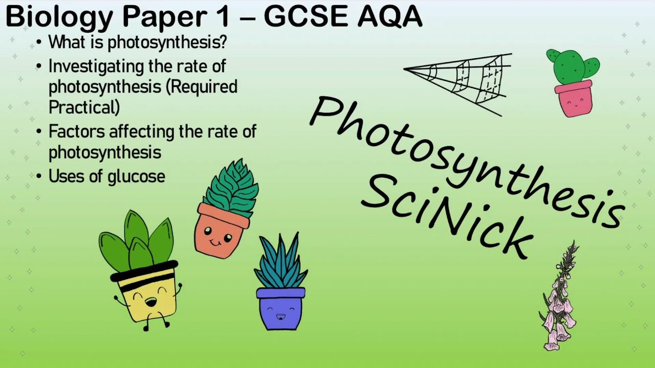 Photosynthesis /// Bioenergetics Biology AQA GCSE (2020 1-9) Paper 1