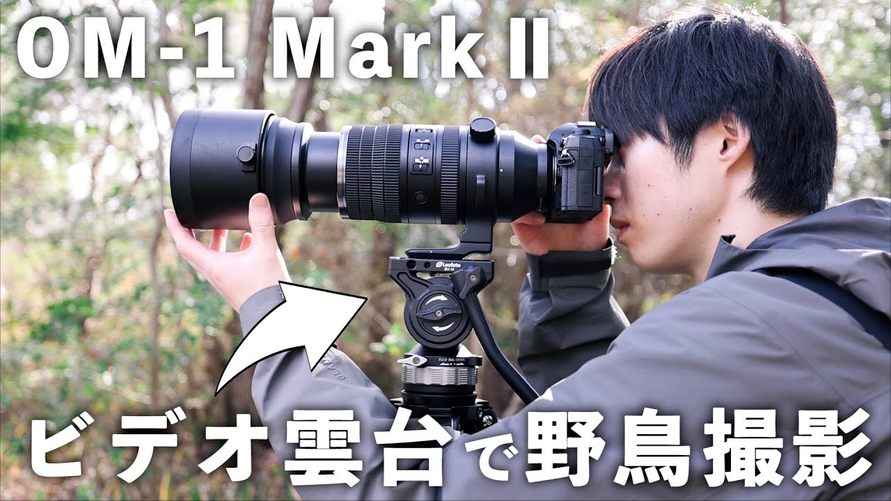 Я попробовал фотографировать диких птиц, используя OM-1 Mark II на видеоголовке.