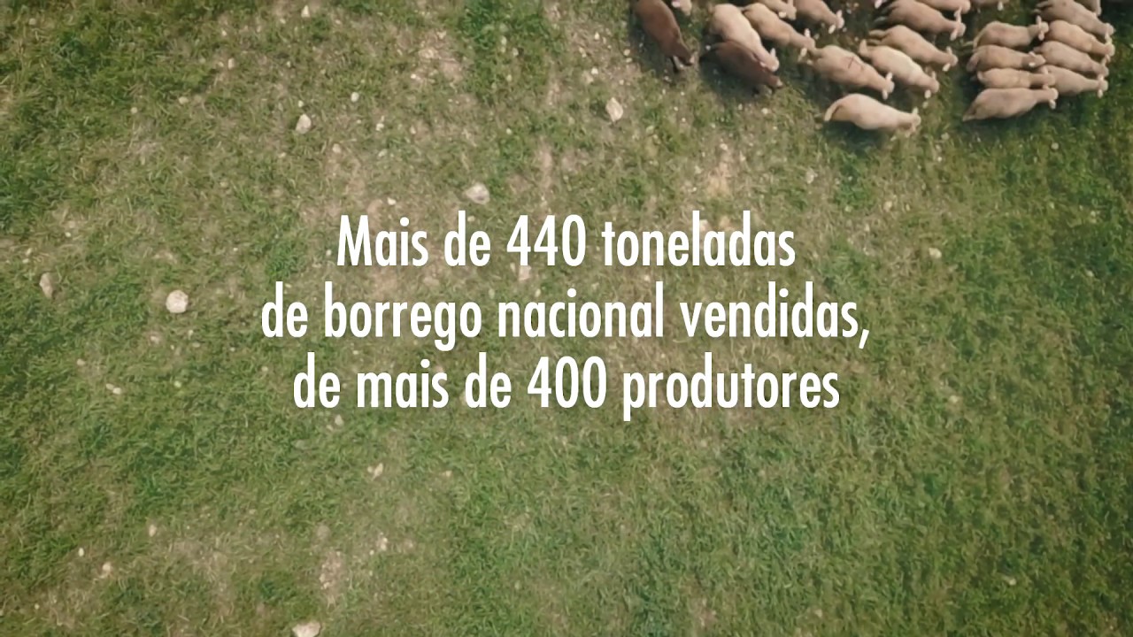 De onde vem a nossa força? | Depoimento de José Antonio Martins | Pingo Doce