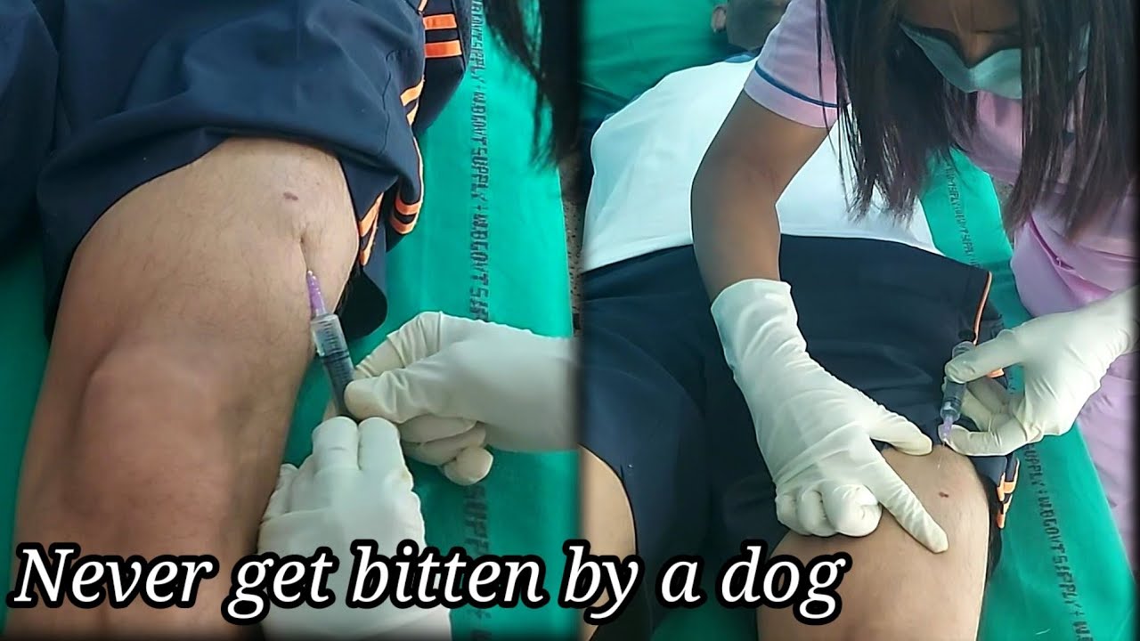 How many injections after a dog's bite???count..coz I lost the count at the end