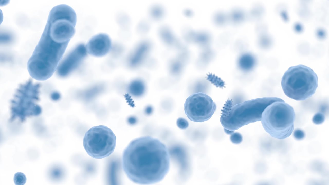 Vacuna podría modular el microambiente bacteriano de pacientes con vejiga neurogénica