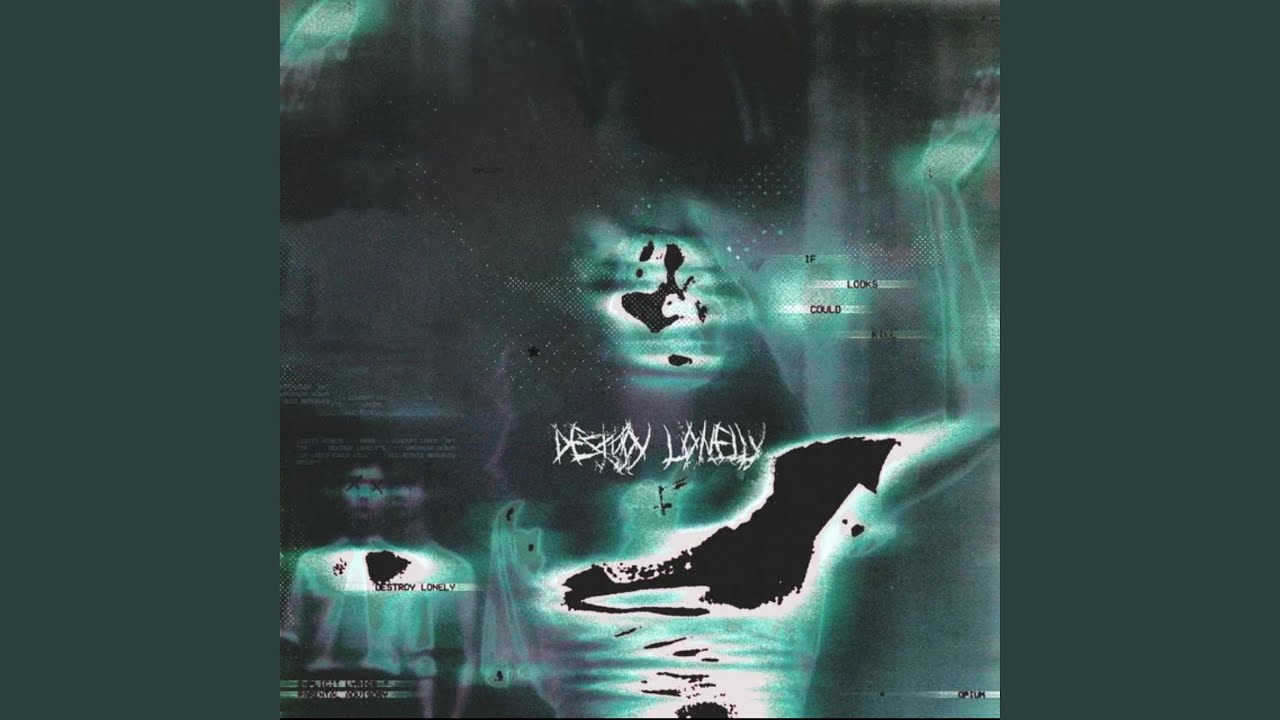 Destroy Lonely Vibes