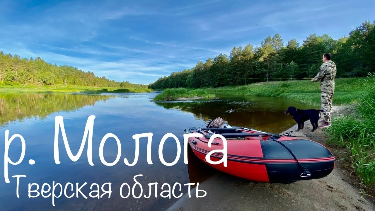 РЫБАЛКА В ТВЕРСКОЙ ОБЛАСТИ. Река Молога. Красивые места.