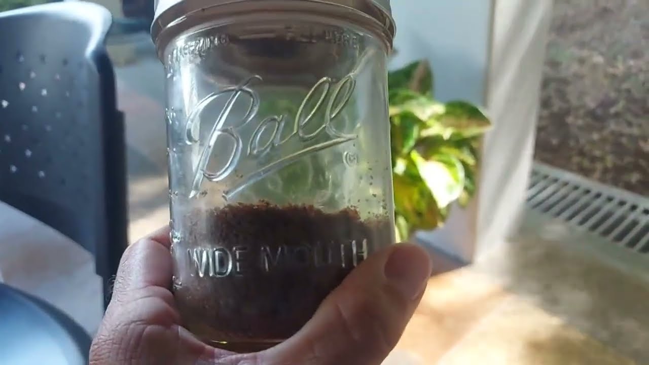 HONEST review of the Ball 16oz Mason Jar