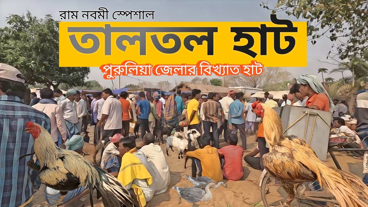 পুরুলিয়া জেলার বিখ্যাত হাট || তালতল হাট || Taltol Haat || Summer Offer @achenaporshi
