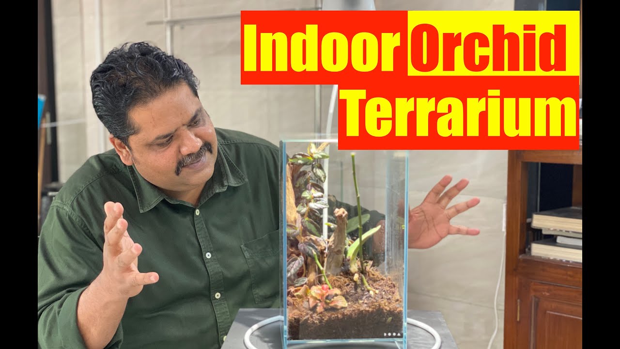 How to make Indoor Terrarium Orchid Setup | Nature Aquarium Gallery Mumbai HD 1080p