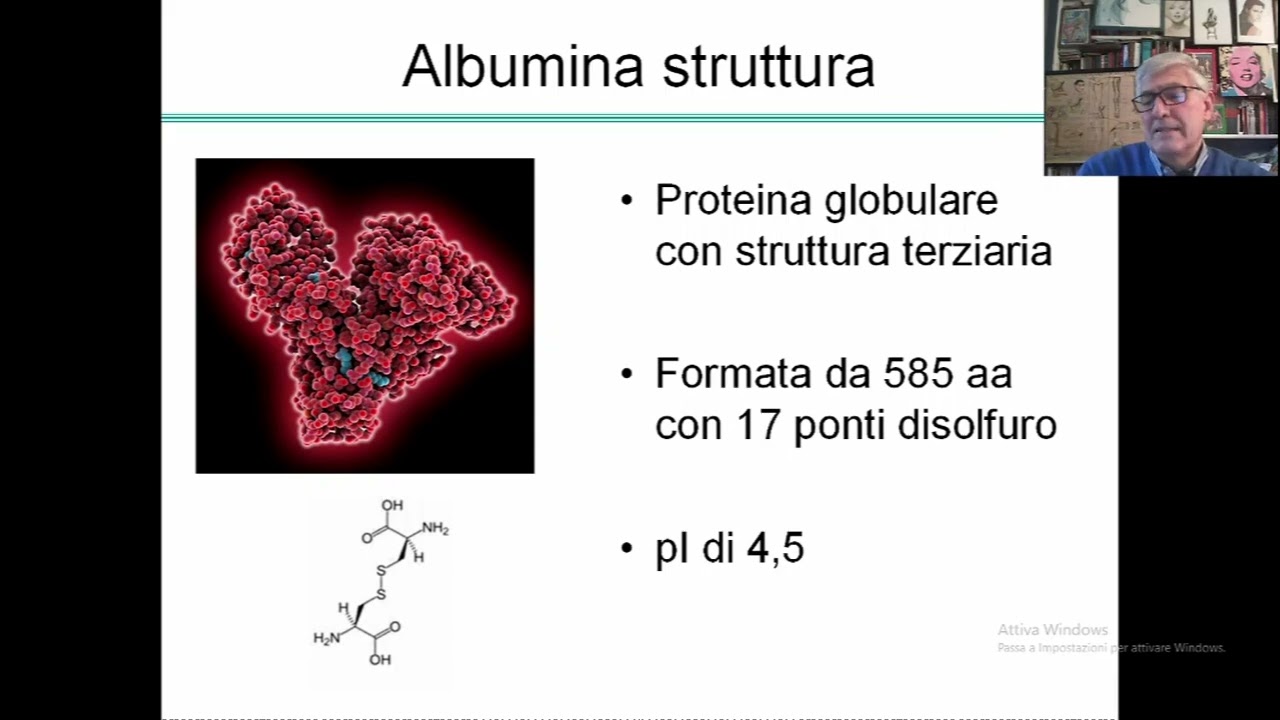 Albumina e mortalità una correlazione quasi sempre fraintesa?