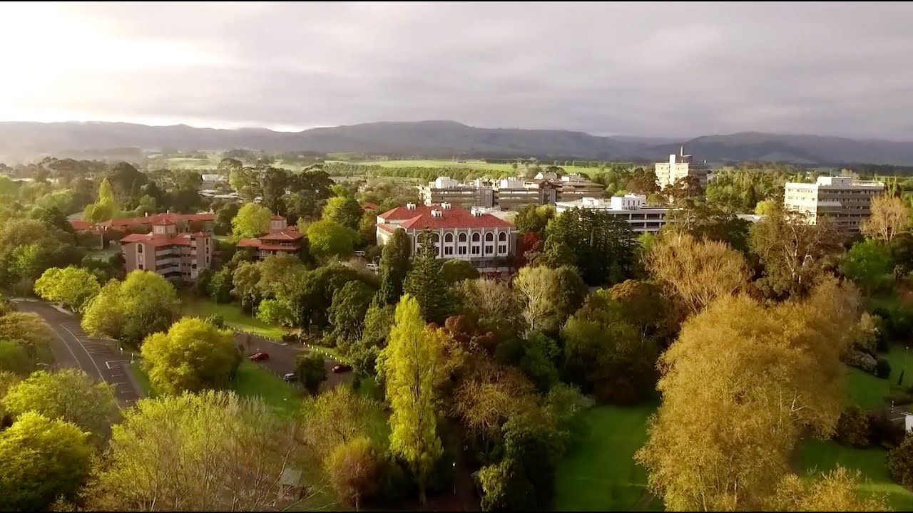 Manawatū Campus Flyover | Massey University