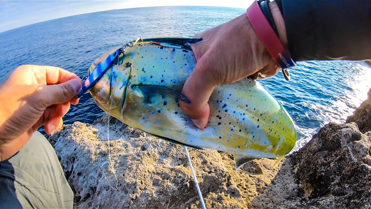 LAMPUGA, RICCIOLA e un mare di CEFALI: catture a shore jigging e spinning