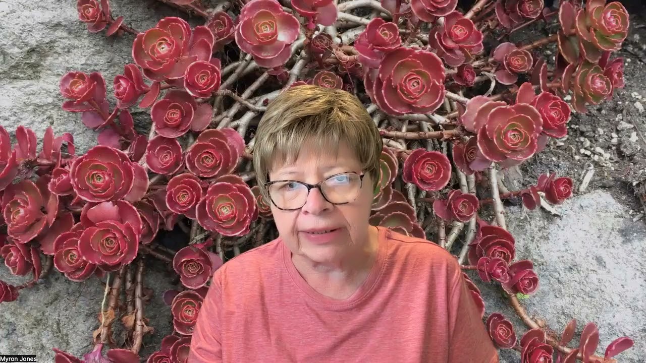 What Worldview Do You Support?