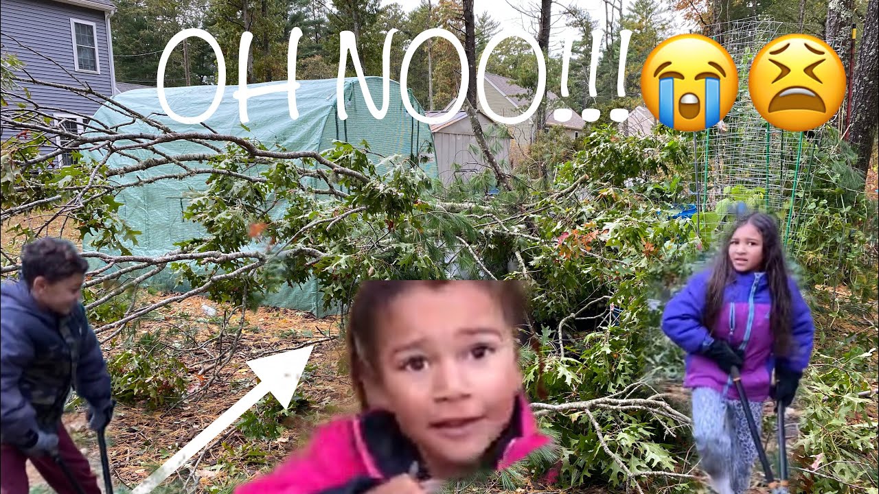 Family Vlog: Noreaster Hits Homestead