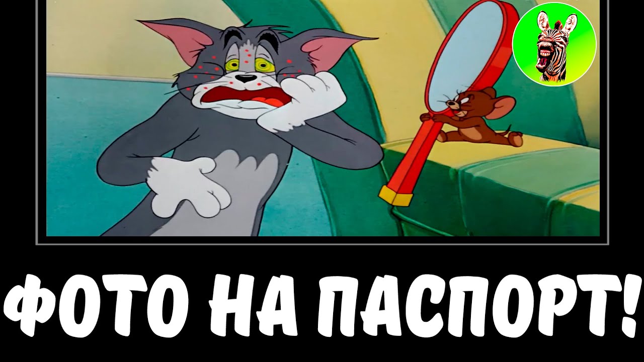 ФОТО НА ПАСПОРТ! | МУД ТОМ И ДЖЕРРИ ДЕМОТИВАТОР 1 БЕЗ МАТА