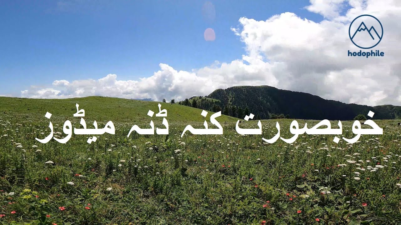 Trek to Kunna Danna Meadows from Digri Bangla Day 2
