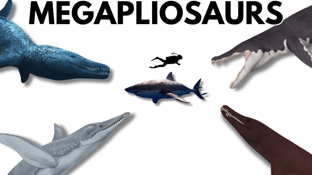 The Megapliosaurs: Carnivorous Battleships of the Mesozoic