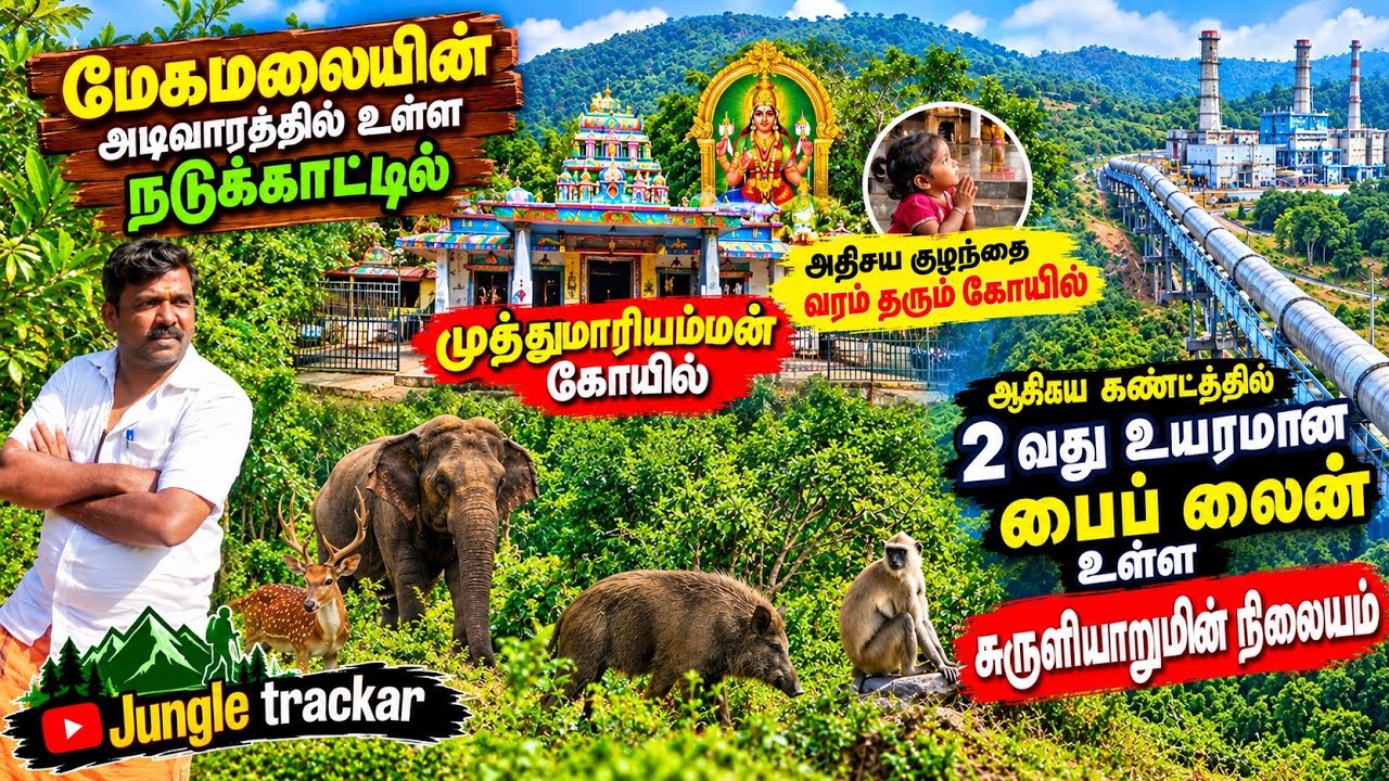  அதிசய குழந்தை வரம் தரும் முத்து மாரியம்மன் காட்டு கோயில்...