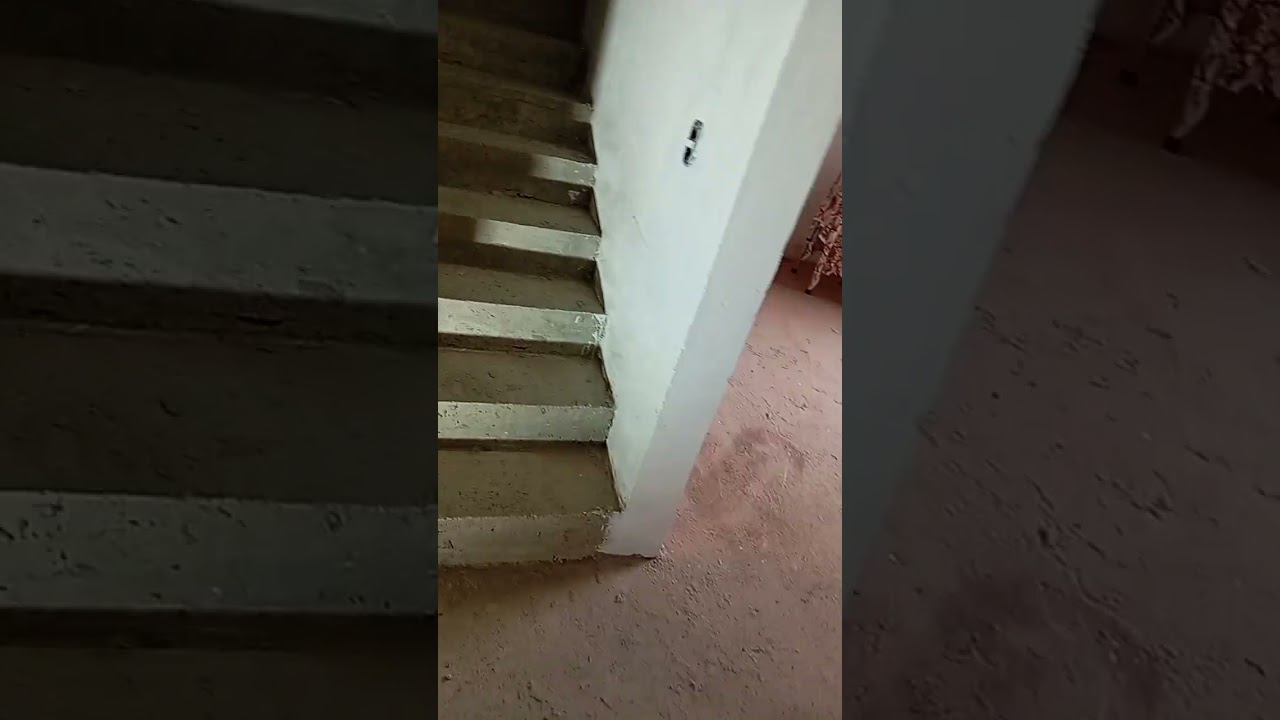 El avance de la obra